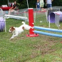 IMG_4654