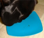 Taste Test