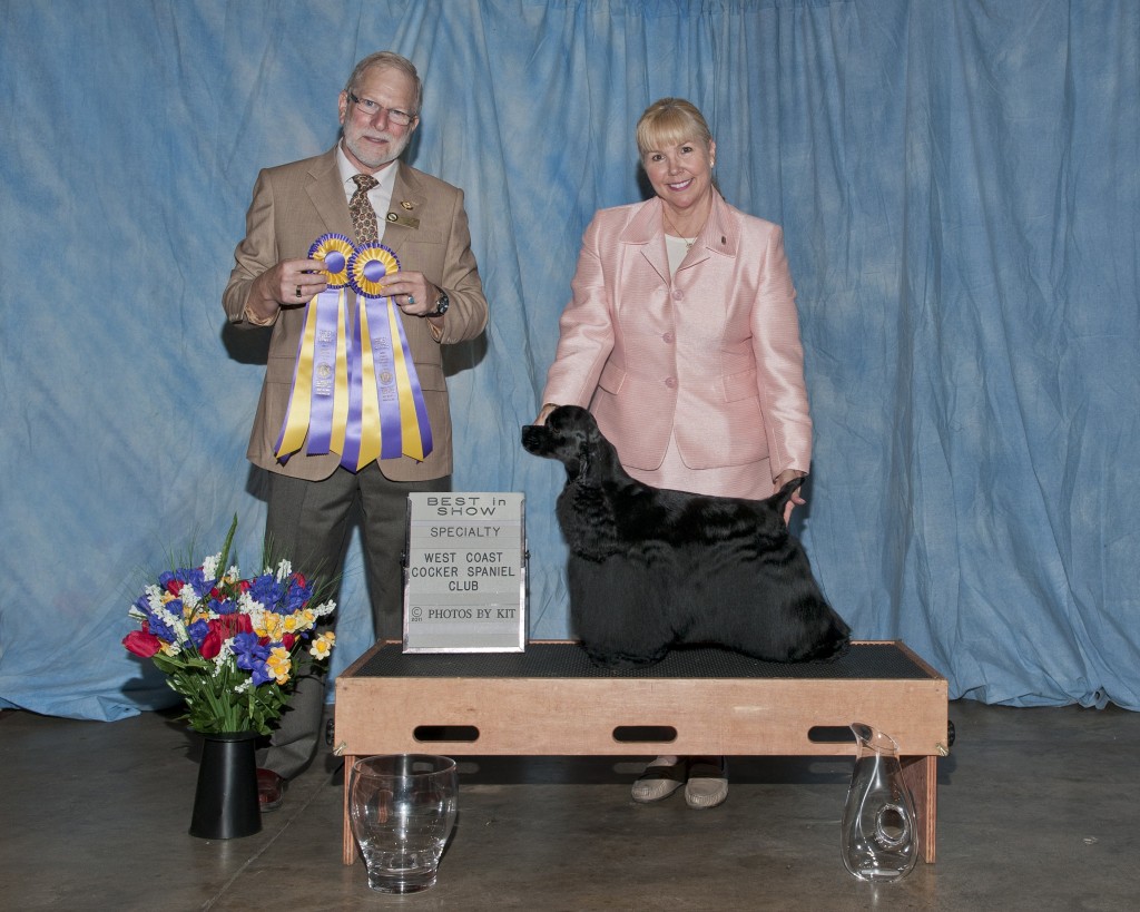 GCH CH Markann-N-Kk's Charlotte's Winning Web