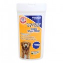 Pet Dental Health Month