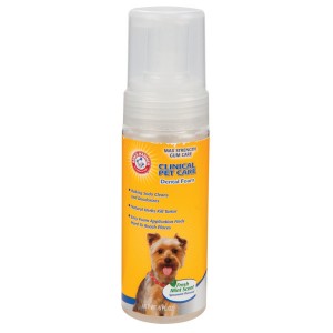 Pet Dental Health month Pet Dental Health month