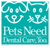 Pets Need Dentals Too