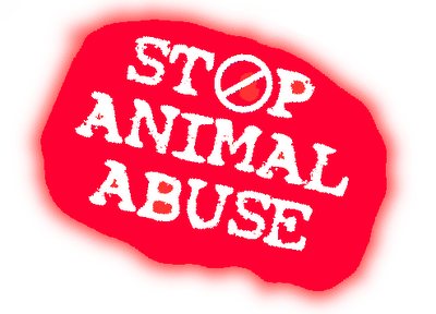 Animal Abuse Animal Abuse
