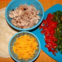 Low Calorie Quesadilla
