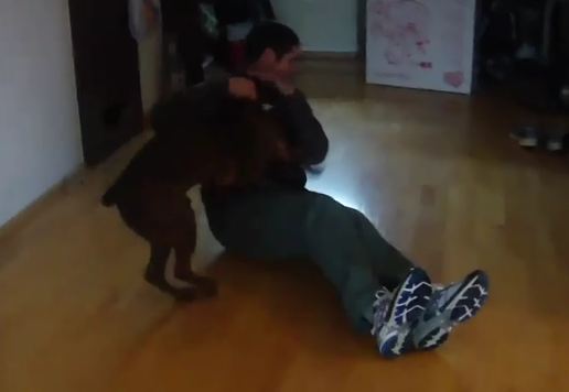 Dog welcomes home Soldier