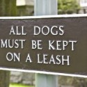 Dogs must be on a leash