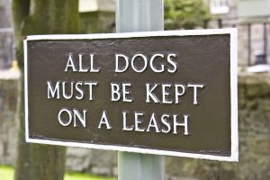 Dogs must be on a leash