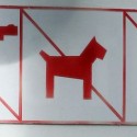 no guns no dogs