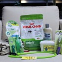 Doggy Day Spa Gift Pack