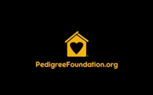 Pedigree Foundation Pedigree Foundation