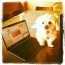 Rambo with his laptop