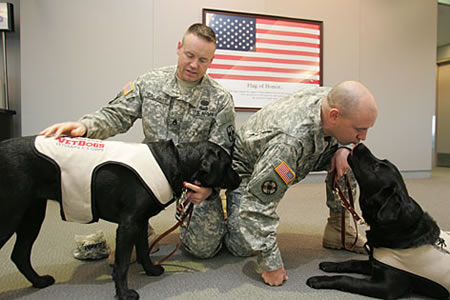 Therapy Dogs Therapy Dogs