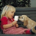 Puppy and Little Girl Sharing Icecream