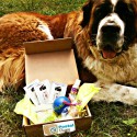 Postal Puppy Monthly Box