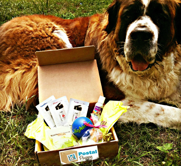 Postal Puppy Monthly Box Postal Puppy Monthly Box