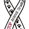 Stop Animal Cruelty
