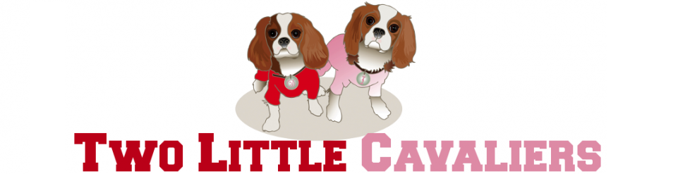 Two Little Cavaliers