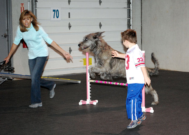Agility Ability Agility Ability