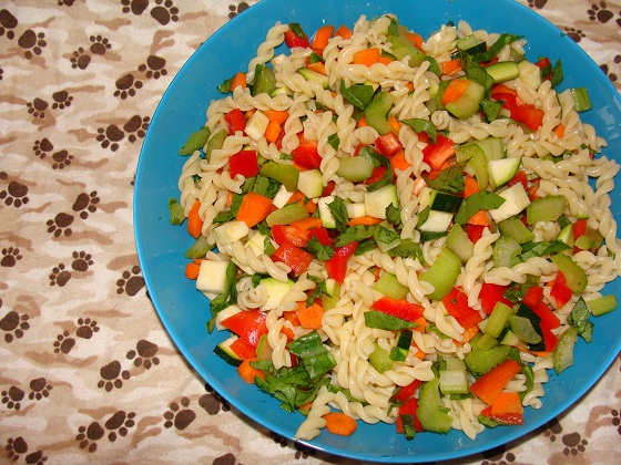 Pasta Salad for dogs Pasta Salad for dogs