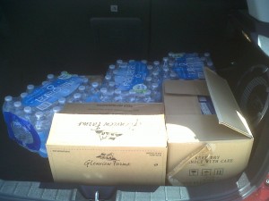 water, milk, and fruit cups in the trunk water, milk, and fruit cups in the trunk