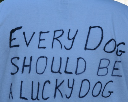 Every dog should be a Lucky Dog