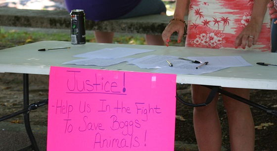 Hope for a Better future for Boggs Mountain