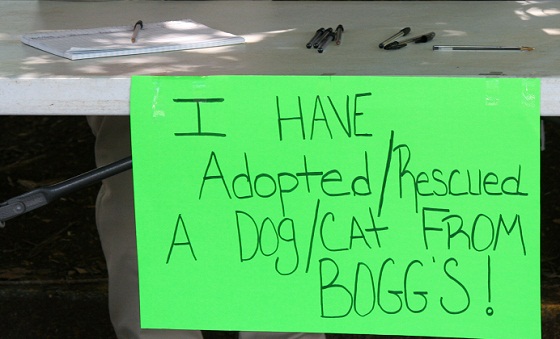 Dogs and Cats Adopted from Boggs Mountain