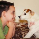 Bingo the service dog with a Bucket list