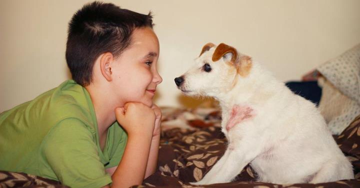 Bingo the service dog with a Bucket list