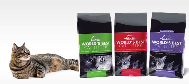 Worlds Best Cat Litter Giveaway