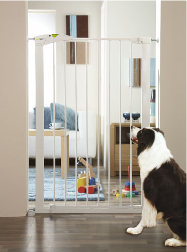 pet gate