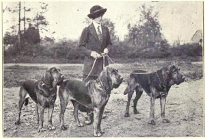 Bloodhound_from_1915