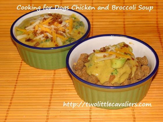 Cooking for Dogs Chicken and Broccoli Soup Cooking for Dogs Chicken and Broccoli Soup