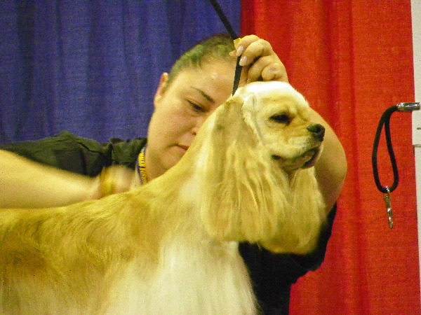 Super Zoo regular class grooming