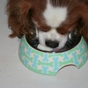 Davinia eating her frozen yogurt cube