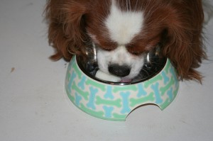 Davinia eating her frozen yogurt cube Davinia eating her frozen yogurt cube