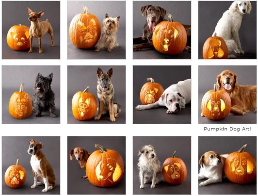 Free Downloadable Stencils to carve Dogs on pumpkins