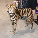 Tiger Dog
