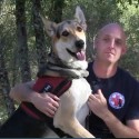 Operation Freedom Paws