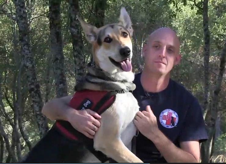 Operation Freedom Paws Operation Freedom Paws