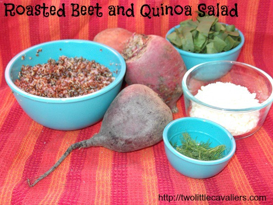 Roasted Beets and Quinoa Salad Cooking for Dogs Roasted Beets and Quinoa Salad Cooking for Dogs