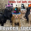 crazy cat lady