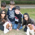 hong kong kids and dogs