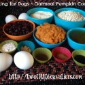 Cooking for Dogs Oatmeal Pumpkin Cookies