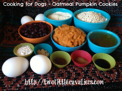 Cooking for Dogs Oatmeal Pumpkin Cookies Cooking for Dogs Oatmeal Pumpkin Cookies