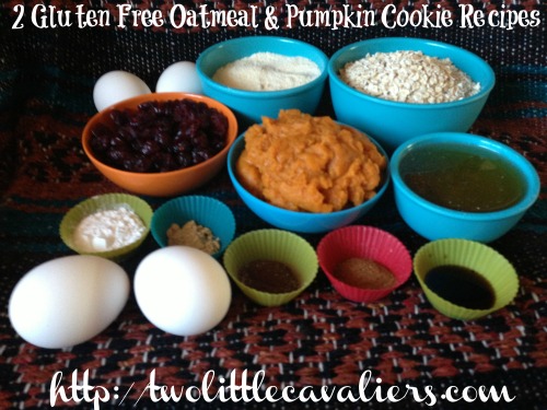 Gluten Free Oatmeal Pumpkin Cookies Gluten Free Oatmeal Pumpkin Cookies