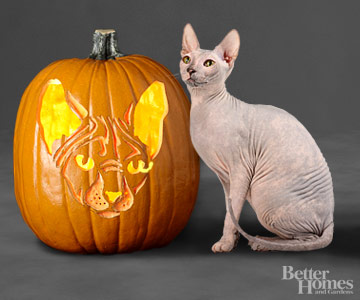 sphyx cat stencil