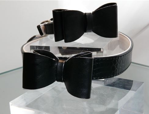 zha zha Collars zha zha collars