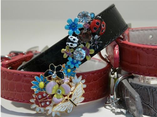 zha zha collars zha zha collars
