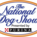 National Dog Show
